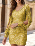 Sequin Fringe Bodycon Party Dress_CWDSD11958