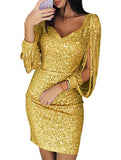 Sequin Fringe Bodycon Party Dress_CWDSD11958