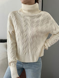 Casual solid color wool long-sleeved sweater