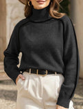 Stylish turtleneck striped ribbed sweater