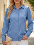 Lantern sleeve pleated loose women's shirt_CWTSTL01261
