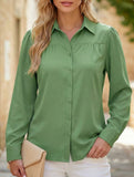 Lantern sleeve pleated loose women's shirt_CWTSTL01261