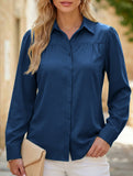 Lantern sleeve pleated loose women's shirt_CWTSTL01261