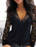 Lace Trim V-Neck Sheer Long Sleeve Top_CWTTL01113