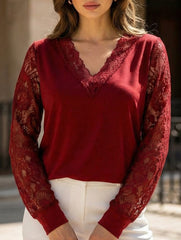 Lace Trim V-Neck Sheer Long Sleeve Top_CWTTL01113