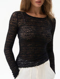 Sheer Crew Neck Slim Long Sleeve Top