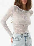 Sheer Crew Neck Slim Long Sleeve Top
