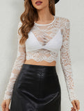 Lace Trim Slim Crop Tee