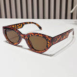 PAINTED CAT EYE SUNGLASSES_CWASG0420