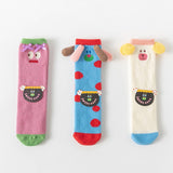 AUTUMN AND WINTER NEW CORAL FLEECE WARM SOCKS_CWMS0886