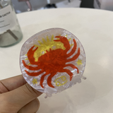 Star Sign Claw Clip Acrylic Cute Hair Accessor_Cwaha2141