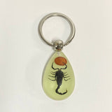 AMBER GLOW IN THE DARK INSECT KEYCHAIN PENDANT_CWMM3698