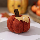 Cwmm10342_Knitted Orange Pumpkin Thanksgiving Decoration