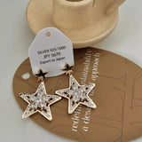 LIGHT LUXURY STAR PENDANT EARRINGS_CWAJE2018