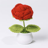 Cwmm9270_Hand-Woven Bouquet Potted Plant Ornaments
