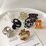 Summer Acetate Hair Claw ? Vintage Half-Up Clip_Cwaha07247