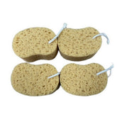 BATH CLEANING SPONGE HONEYCOMB BATH SPONGE_CWMM3405