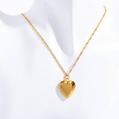 STAINLESS STEEL HEART NECKLACE ALBUM NECKLACE_CWMM5693