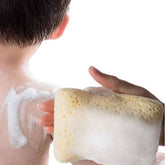 BATH SPONGE EXFOLIATING SPONGE BATH SPONGE_CWMM3404