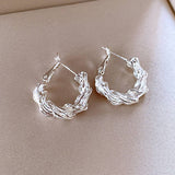 EXAGGERATED ROUND TWISTED TEMPERAMENT EARRINGS_CWAJE2470