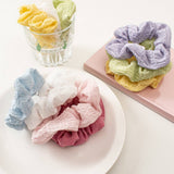 SCRUNCHIES ELASTIC HAIR BANDS_CWAHA1796