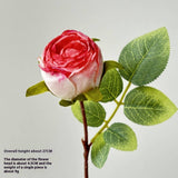 Vintage Single Head Rose Bouquet With Burnt Edges_Cwmm6509