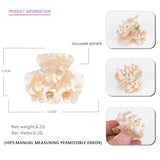 MINI GEOMETRIC ACETATE HAIR CLAW SIMPLE BANG CLIP_CWAHA4429