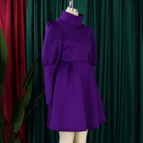 TEMPERAMENT HIGH COLLAR SLIM WAIST A LINE DRESS_CWDSD6086
