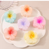 GRADIENT FLOWER HAIR CLAW ELEGANT SUMMER STYLE_CWMM4996