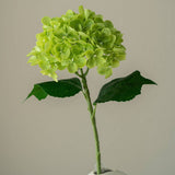 REAL TOUCH HYDRANGEA ARRANGEMENT FOR HOME DECOR_CWMM6521