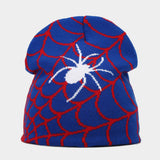 OUTDOOR SPIDER WEB JACQUARD KNITTED HAT_CWAH1599
