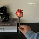 BURNT EDGE ANGORA ROSE FOR HOME PHOTO DECOR_CWMM6571