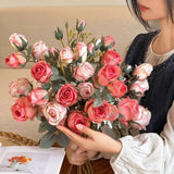 SINGLE STEM 4 HEAD COUNTRY STYLE BURNT EDGE ROSES_CWMM6473