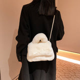 Winter Fashion One-Shoulder Crossbody Plush Bag_Cwab3997