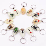 AMBER GLOW IN THE DARK INSECT KEYCHAIN PENDANT_CWMM3698