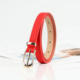 Cwabe0915_Simple And Versatile Thin Belt