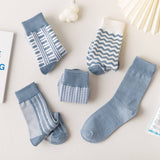 Women Blue Striped Plaid Socks_Cwms0667