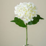 REAL TOUCH HYDRANGEA ARRANGEMENT FOR HOME DECOR_CWMM6521