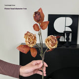 Vintage Autumn Oil Painting Burnt Rose_Cwmm6514