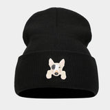 CUTE PUPPY HEAD KNITTED HAT WITH CURLED BRIM_CWAH2068