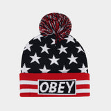FASHION STRIPED JACQUARD POM POM KNITTED HAT_CWAH1614