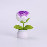 Cwmm9270_Hand-Woven Bouquet Potted Plant Ornaments