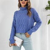 Twist Turtleneck Short Long-Sleeved Sweater