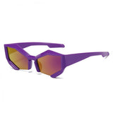 FASHION CUT EDGE SUNGLASSES_CWASG0471