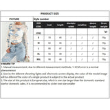 FLORAL PRINT MESH LONG SLEEVE FITTED CROP TOP_CWTBLL3428