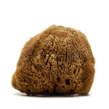 HARD HEAD EXFOLIATING NATURAL SPONGE VELVET SPONGE_CWMM3421