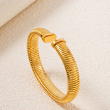 NON FADING TITANIUM STEEL ELASTIC SPRING BRACELET_CWMM3739