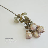 FAUX 5 HEAD WITHERED ROSE WITH BURNT EDGE LOOK_CWMM6589