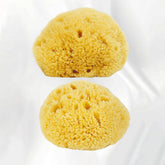 HARD HEAD EXFOLIATING NATURAL SPONGE VELVET SPONGE_CWMM3422