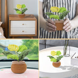 HANDMADE DIY MONSTERA DOLL CROCHET MATERIAL PACK_CWMM0821